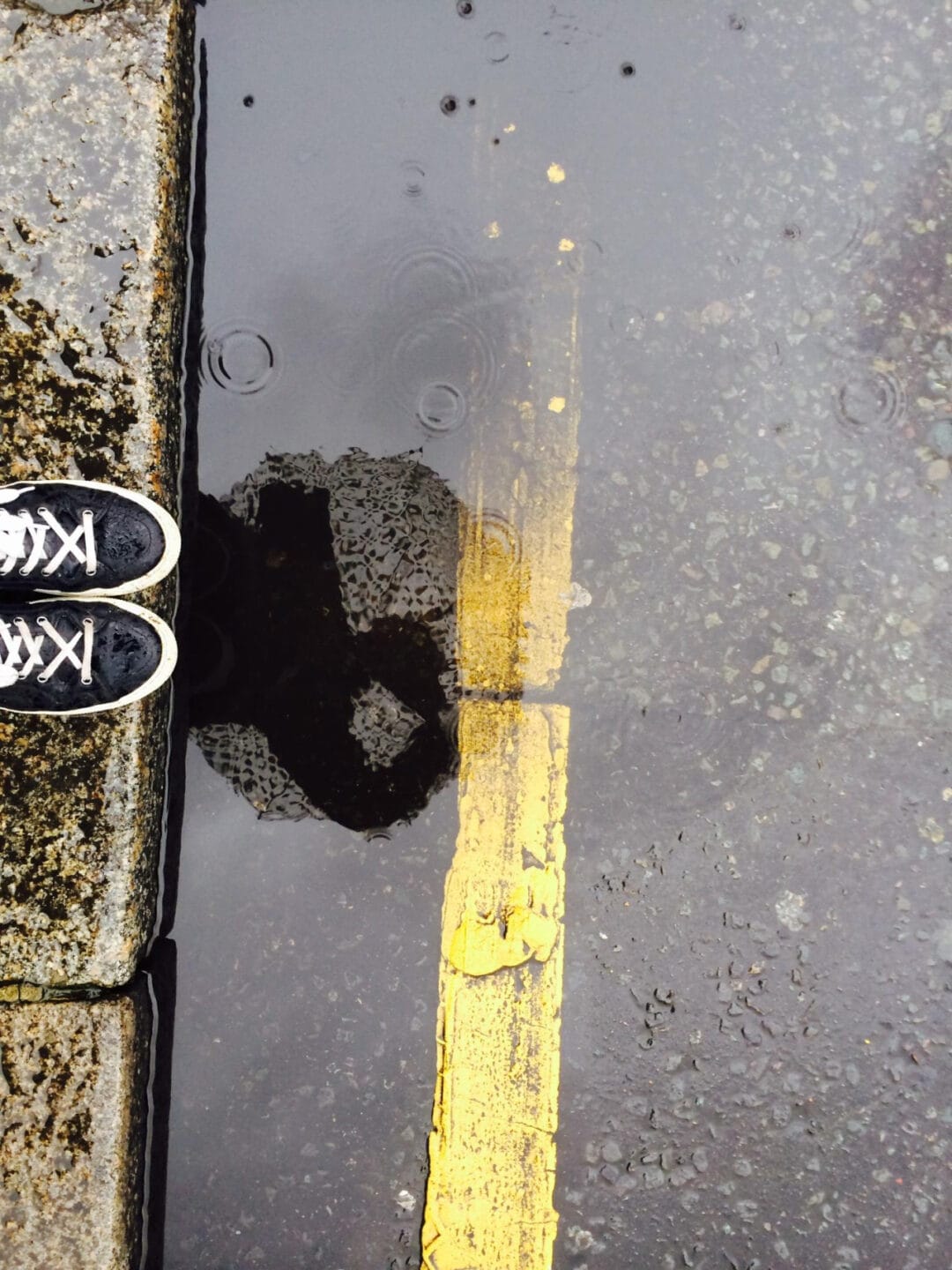 The Selfeet: Zine Collection #21 …