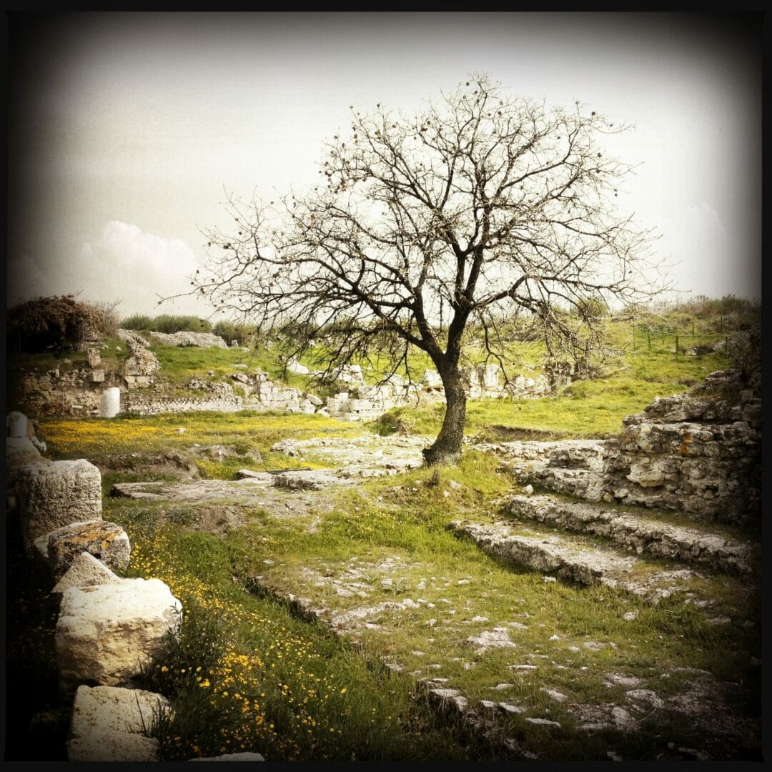 #Idyssey, the #Photobook by #StefanoDeLuigi, Limited edition of 500 copies, with a signed c print by the author, #EditionsBessard #Odyssey #Iphone #photography #Italy #Art #ArtistEdition #ArtOfPerfection #contemporaryart #collector #collectors #photographer #photographie #Mediterranean #LauraSerani #Design