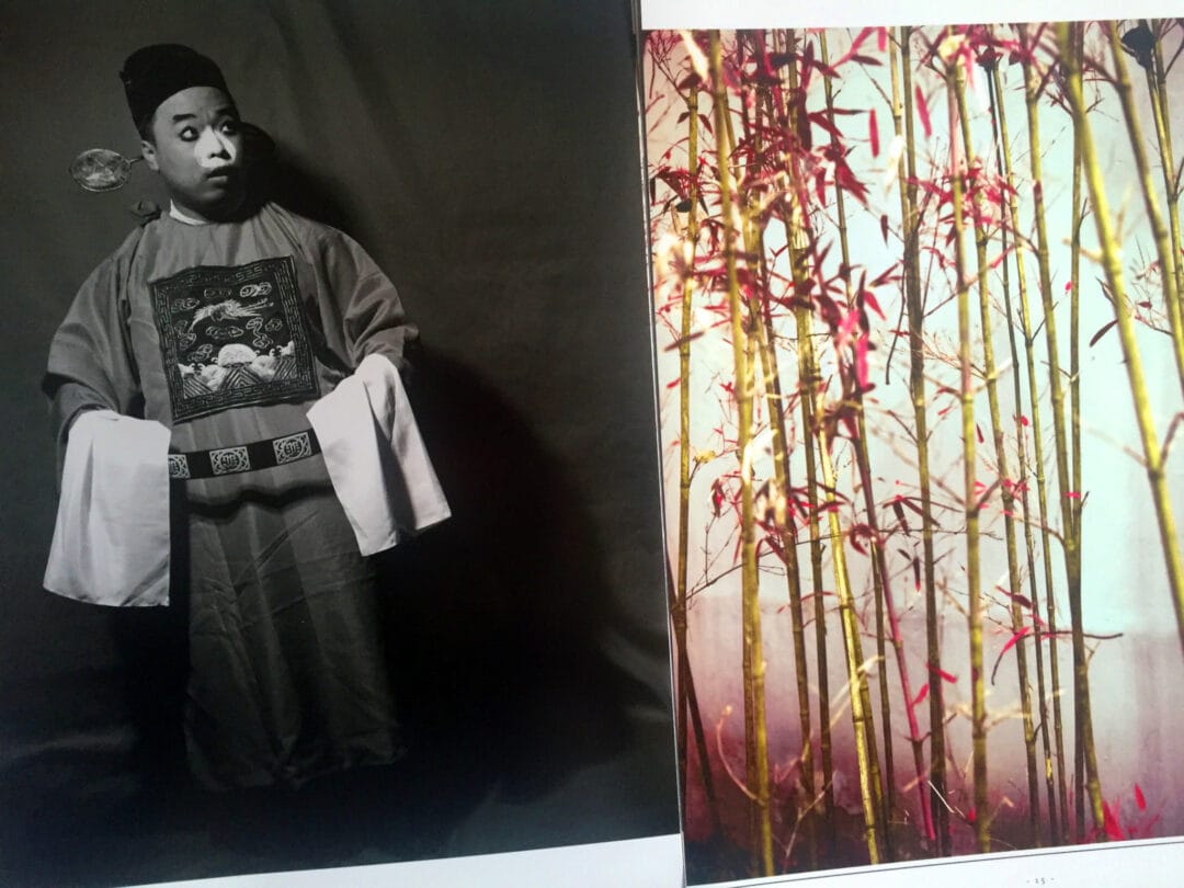 #HanLei #photobook «The critical conditions of my awareness will sometimes trigger the shutter» #BeSpoke N°3 #limitededition signed C Print €36 #contemporaryart #beijingartscene #photography #photographer #photographie #chinesephotography #editionsBessard