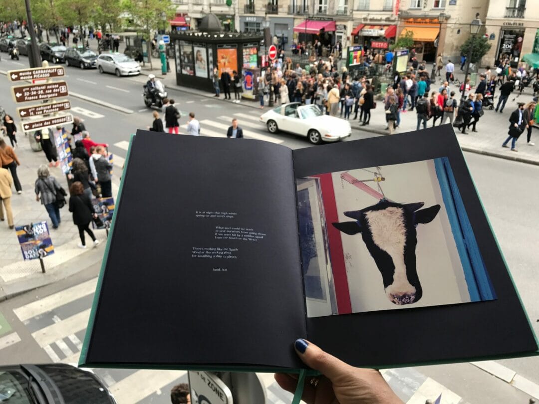 #Idyssey, the #Photobook by #StefanoDeLuigi, Limited edition of 500 copies, with a signed c print by the author, #EditionsBessard #Odyssey #Iphone #photography #Italy #Art #ArtistEdition #ArtOfPerfection #contemporaryart #collector #collectors #photographer #photographie #Mediterranean #LauraSerani #Design