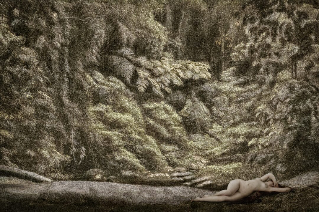 START your NEW collection: L’IMPERIALE COLLECTION N•3 by the #Brazilian #photographer Cassio Vasconcellos, Dryads and Fauns: A Plunge in the Heart of the Forest My fado cries, but it moves mountains.Limited Edition 250 copies with signed c print and only 36€ !