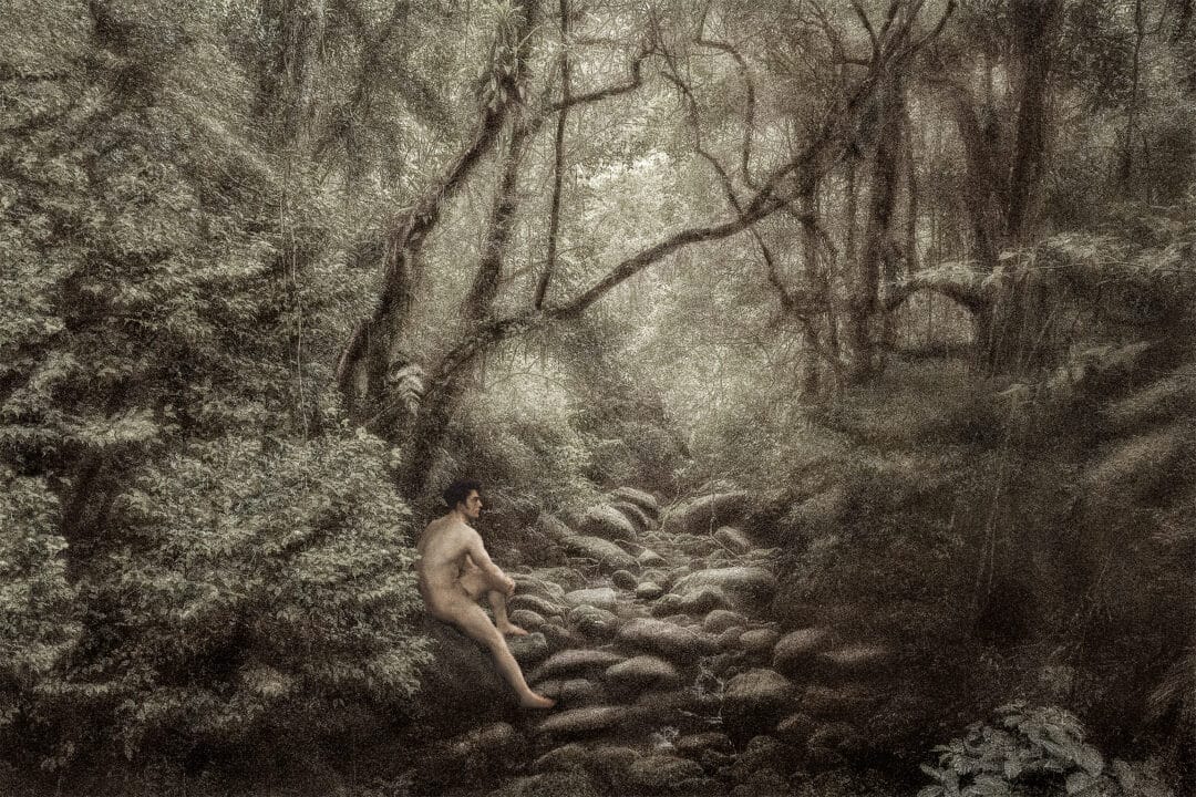 START your NEW collection: L’IMPERIALE COLLECTION N•3 by the #Brazilian #photographer Cassio Vasconcellos, Dryads and Fauns: A Plunge in the Heart of the Forest My fado cries, but it moves mountains.Limited Edition 250 copies with signed c print and only 36€ !