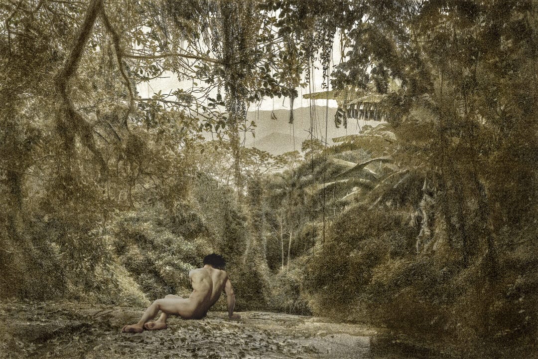 START your NEW collection: L’IMPERIALE COLLECTION N•3 by the #Brazilian #photographer Cassio Vasconcellos, Dryads and Fauns: A Plunge in the Heart of the Forest My fado cries, but it moves mountains.Limited Edition 250 copies with signed c print and only 36€ !