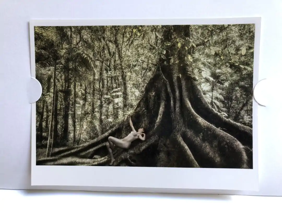 The Signed C print 13x18cm START your NEW collection: L’IMPERIALE COLLECTION N•3 by the #Brazilian #photographer Cassio Vasconcellos, Dryads and Fauns: A Plunge in the Heart of the Forest My fado cries, but it moves mountains.Limited Edition 250 copies with signed c print and only 36€ !