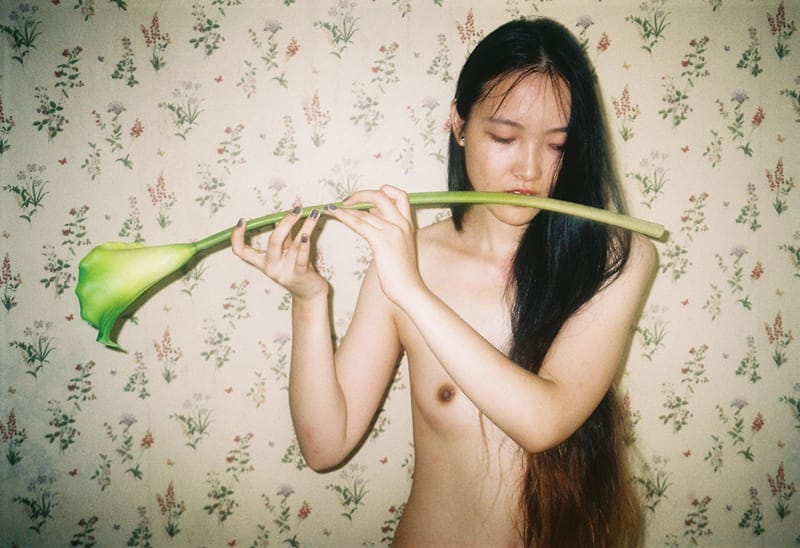 The young generation of Chinese artist, 23 years old. 5 x 100 copies in 5 colors cloth binding, green, blue, yellow, red, black. Include a 13 x 18 cm signed c print by the author